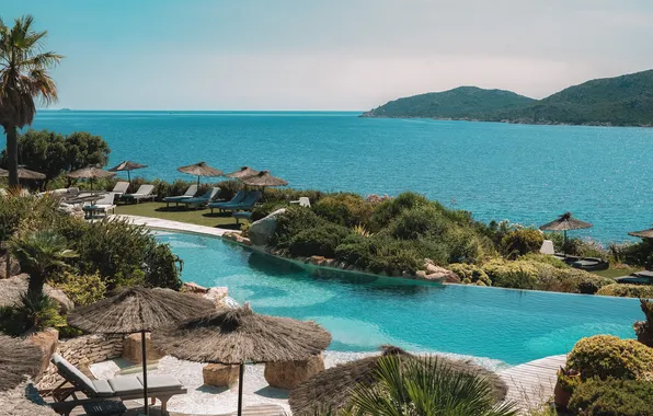 Palm trees, pool, umbrellas, Bay, resort, sun loungers, Corsica, The Mediterranean sea