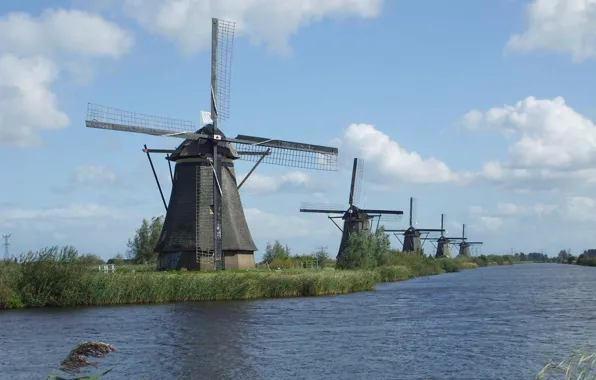 Picture nature, kinderdijk, the netherlands, .windmills-
