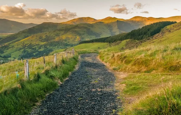 Road, field, forest, grass, mountains, the slopes, the fence, the fence