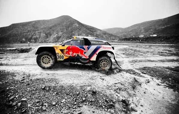 Sport, Speed, Stones, Race, Peugeot, Lights, Red Bull, Rally