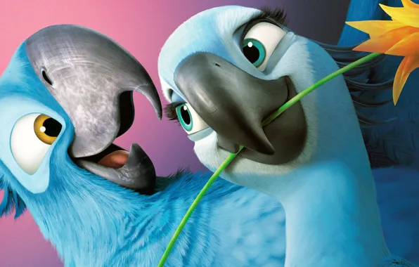 Blue Sky, Cartoon, Comedy, Jewel, Rio 2, Darling, Adventure, Family