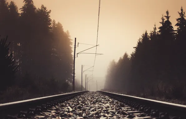 Picture nature, perspective, railroad