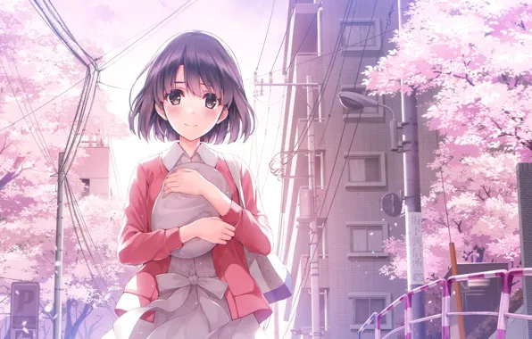 Picture saenai heroine from sodatekata, art, anime, Megumi Catholic
