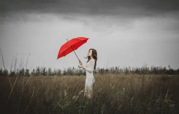 The storm, field, girl, stems, hair, Bush, dress, red umbrella