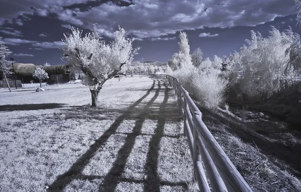 Picture landscape, nature, infrared