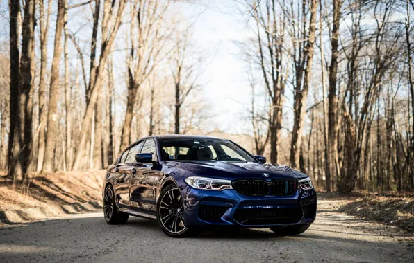 Picture BMW, Blue, Sight, F90, 3/4