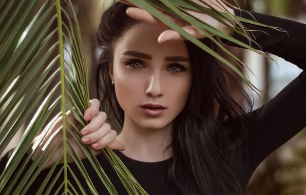 Girl, sweetheart, model, brunette, Face, Wallpaper, Portrait, beautiful