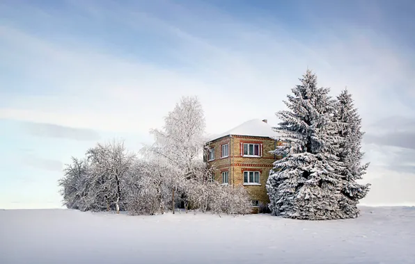 Winter, the sky, clouds, snow, trees, home