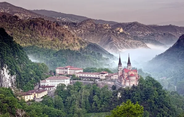 Picture forest, mountains, nature, fog, photo, castle, building, Cathedral