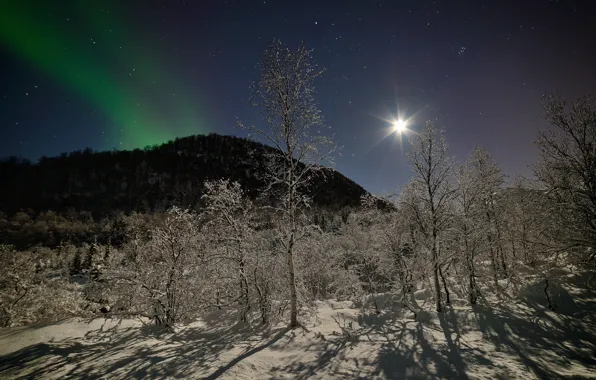 Winter, forest, stars, snow, trees, mountains, night, the moon
