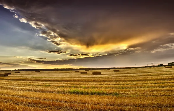 Picture summer, the sky, clouds, Field, August, summer, sky, field