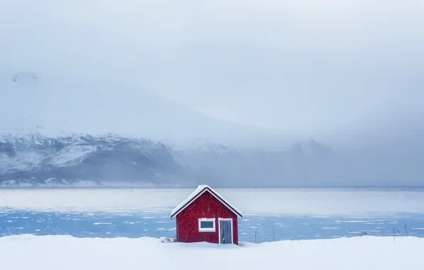 Picture winter, snow, shore, home