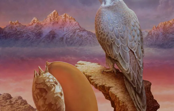 Mountains, the moon, picture, shell, Falcon