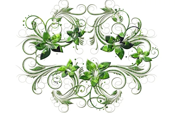Picture flowers, texture, white background