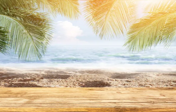Sand, sea, wave, beach, summer, the sun, palm trees, summer