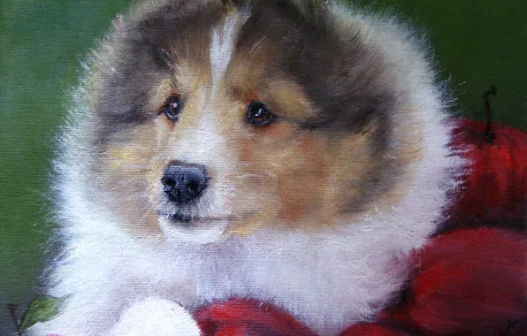 Look, pose, oil, portrait, dog, painting, face, canvas