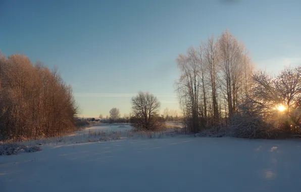 Winter, snow, frost