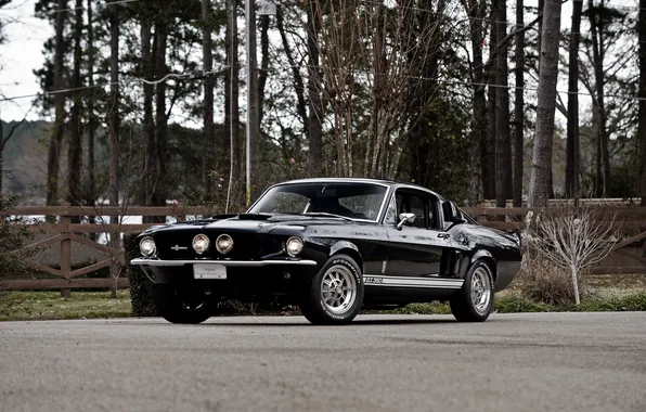 Mustang, Ford, Shelby, Mustang, Ford, Shelby, 1967, GT350