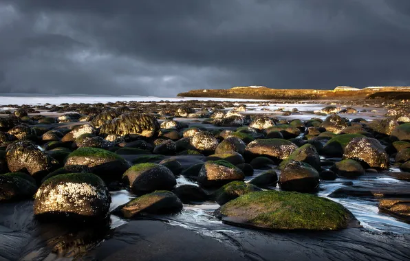 Sea, landscape, stones