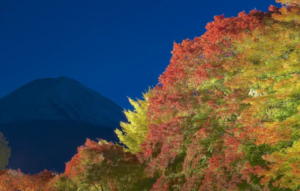 Picture autumn, the sky, leaves, light, trees, night, mountain, Japan