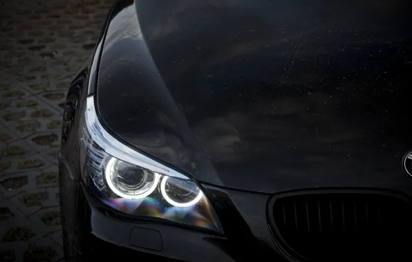 Picture BMW, Light, Side, E60, Sight, Angel eye