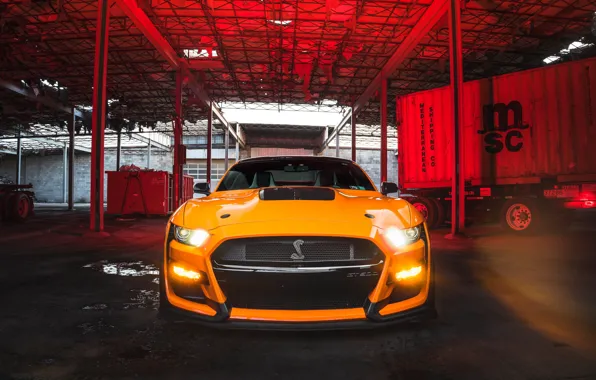 Picture Mustang, Ford, GT500, Lights, Yellow, Face