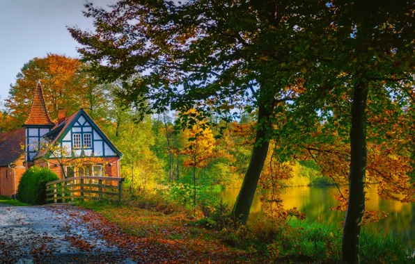 Autumn, forest, leaves, the sun, trees, lake, house, Park