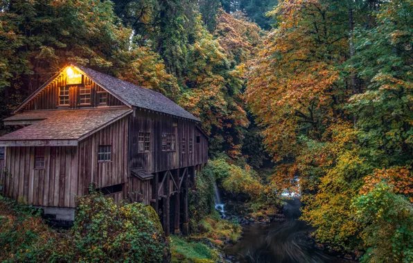 Autumn, forest, river, water mill, Washington, Washington, Woodland, Woodland