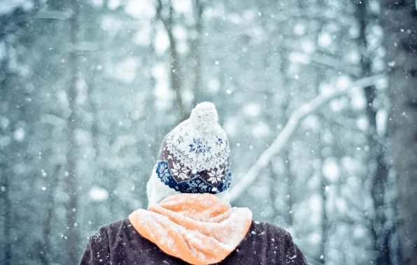 Picture winter, forest, snow, mood, hat, people, guy