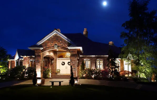 Picture trees, flowers, night, lights, lawn, the moon, home, shop