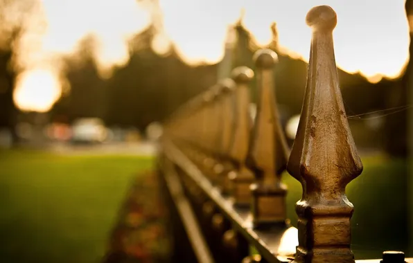 Summer, macro, photo, the fence, rays of light, bokeh