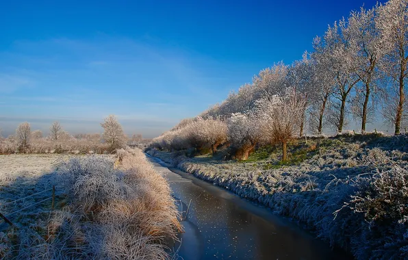 Winter, frost, field, trees, channel