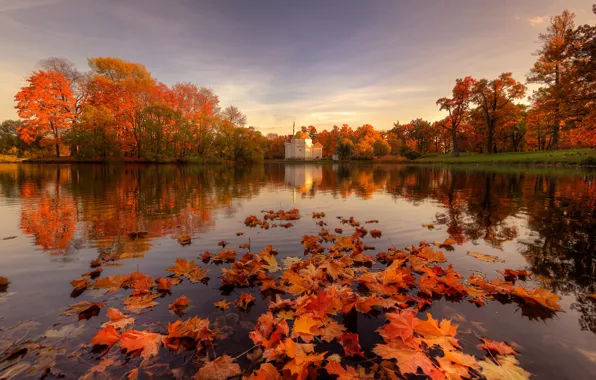 Autumn, leaves, pond, Park, reflection, the building, Saint Petersburg, Pavlovsk