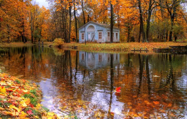 Picture autumn, leaves, trees, nature, river, home, Saint Petersburg, Ed Gordeev