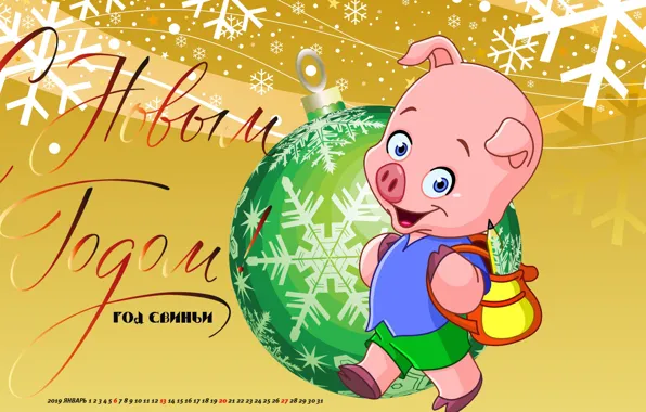 Christmas toy, pig, calendar for 2019