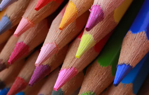 Pencils, drawing, stylus