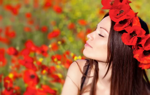 Picture field, summer, the sun, flowers, red, nature, face, Maki