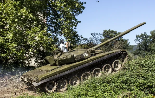 Power, tank, vegetation, Kind of like the T-72