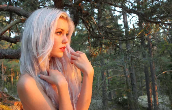 Picture forest, look, girl, trees, hair, blonde, profile