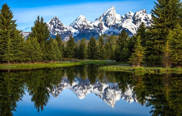 Picture the sky, snow, trees, mountains, lake, reflection, river, spruce