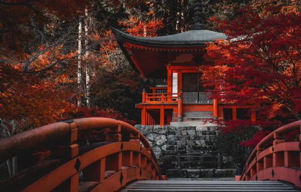 Autumn, trees, bridge, Japan, temple, Japan, Kyoto, Kyoto