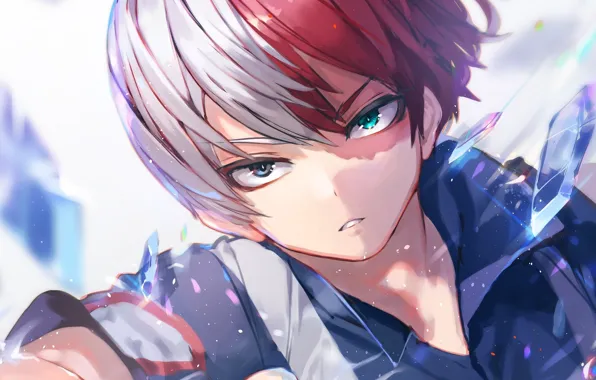 Guy, Boku No Hero Academy, Todoroki Shoto, My heroic academia