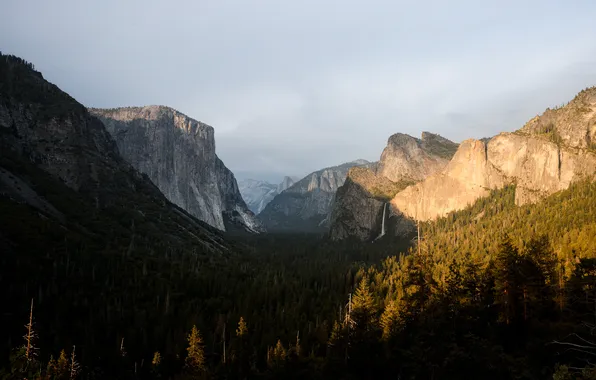 Forest, the sky, light, mountains, fog, overcast, rocks, tops