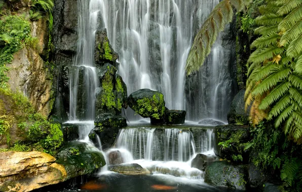 Picture greens, water, stones, waterfall
