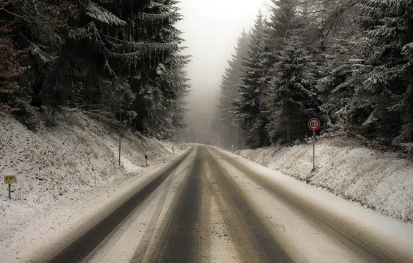 Winter, road, forest, landscape, nature, the darkness