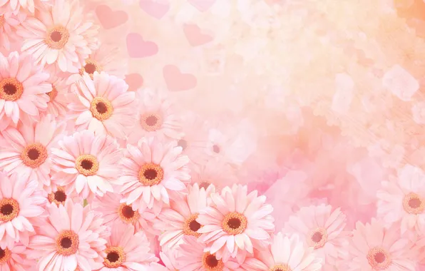 Flowers, gentle, a lot