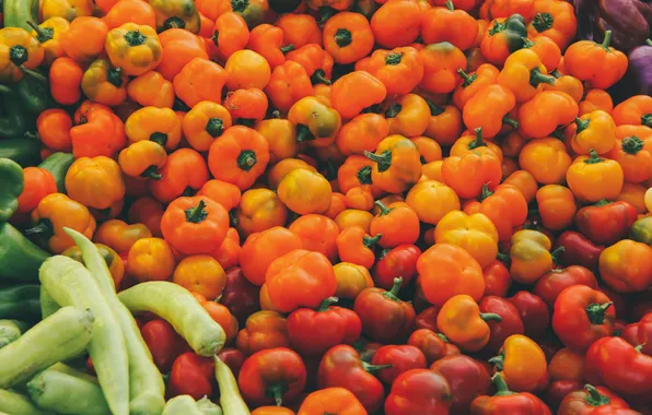 Picture orange, red, pepper