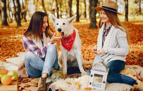 Autumn, girl, nature, pose, Park, girls, glade, dog