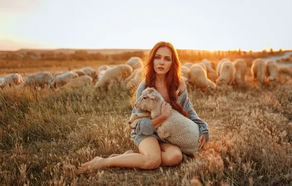 Picture field, animals, the sky, look, girl, the sun, nature, pose