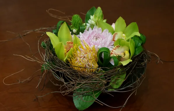 Picture orchids, basket, dahlias